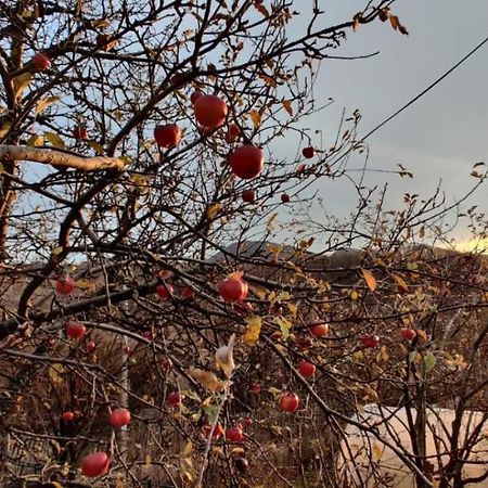 Casuta Bunicilor Isverna Ξενοδοχείο Εξωτερικό φωτογραφία