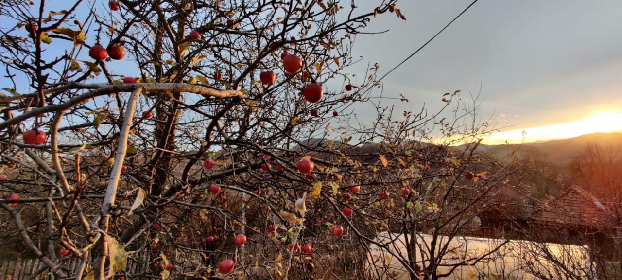 Casuta Bunicilor Isverna Ξενοδοχείο Εξωτερικό φωτογραφία